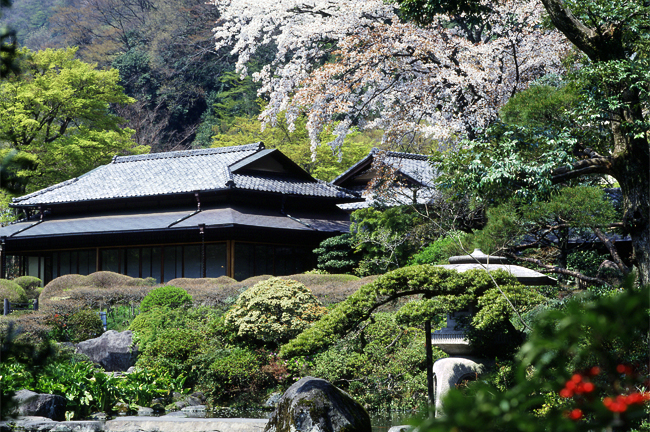 吉池旅館入り口